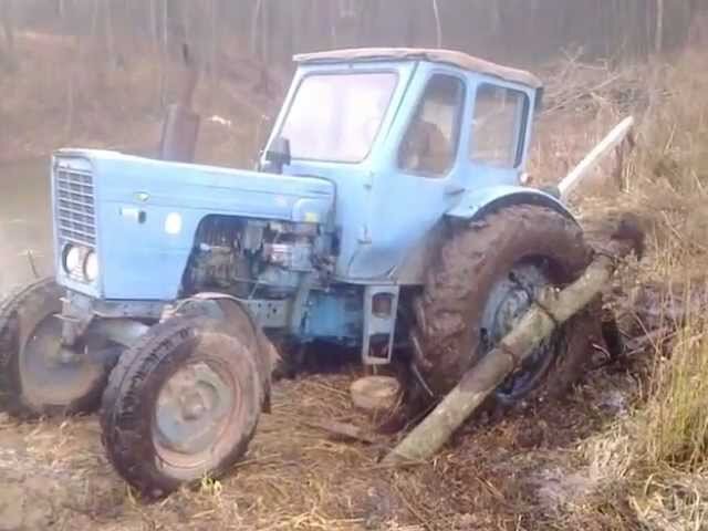 фото из Яндекс Картинок