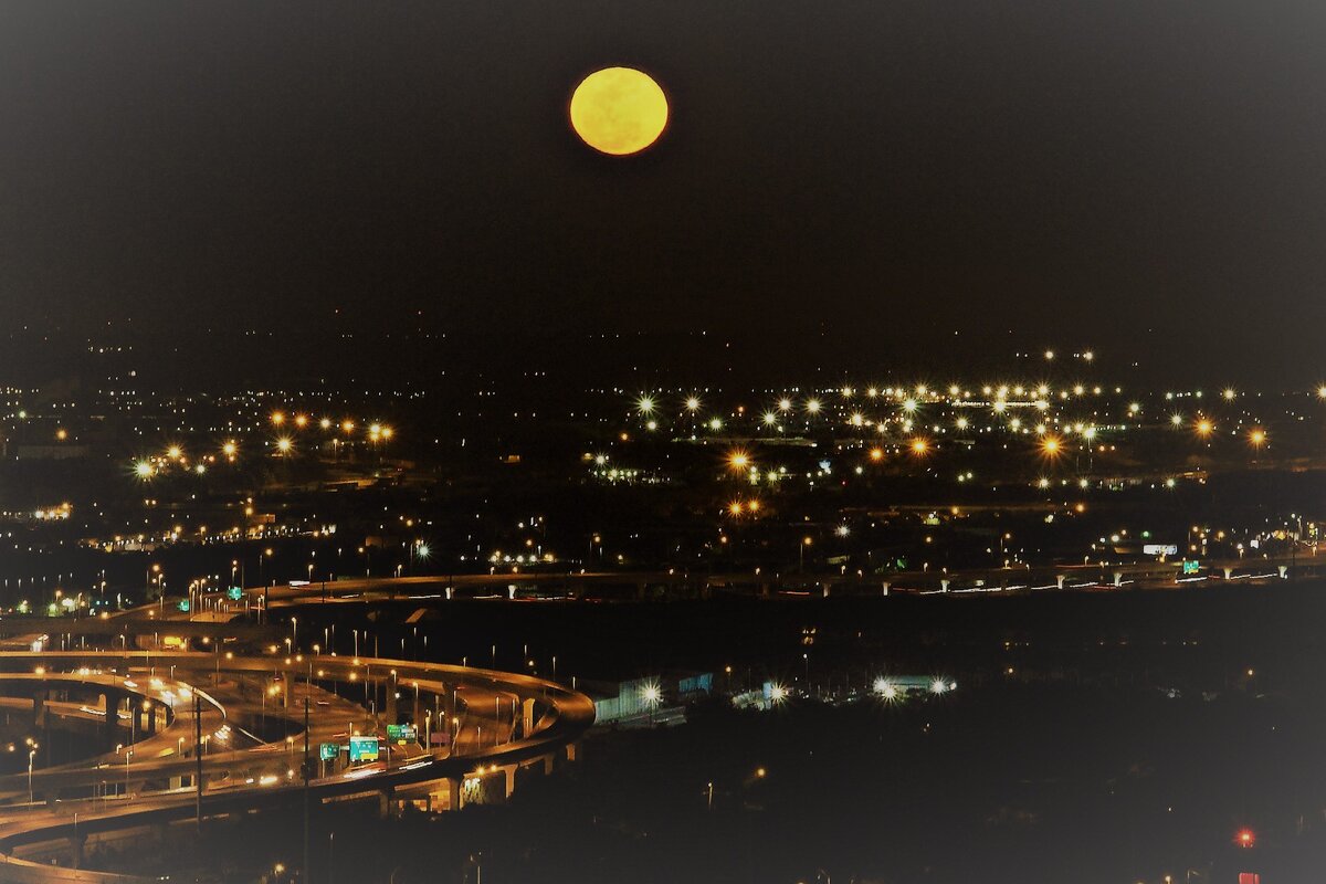 Изображение RogerMayhem с сайта Pixabay