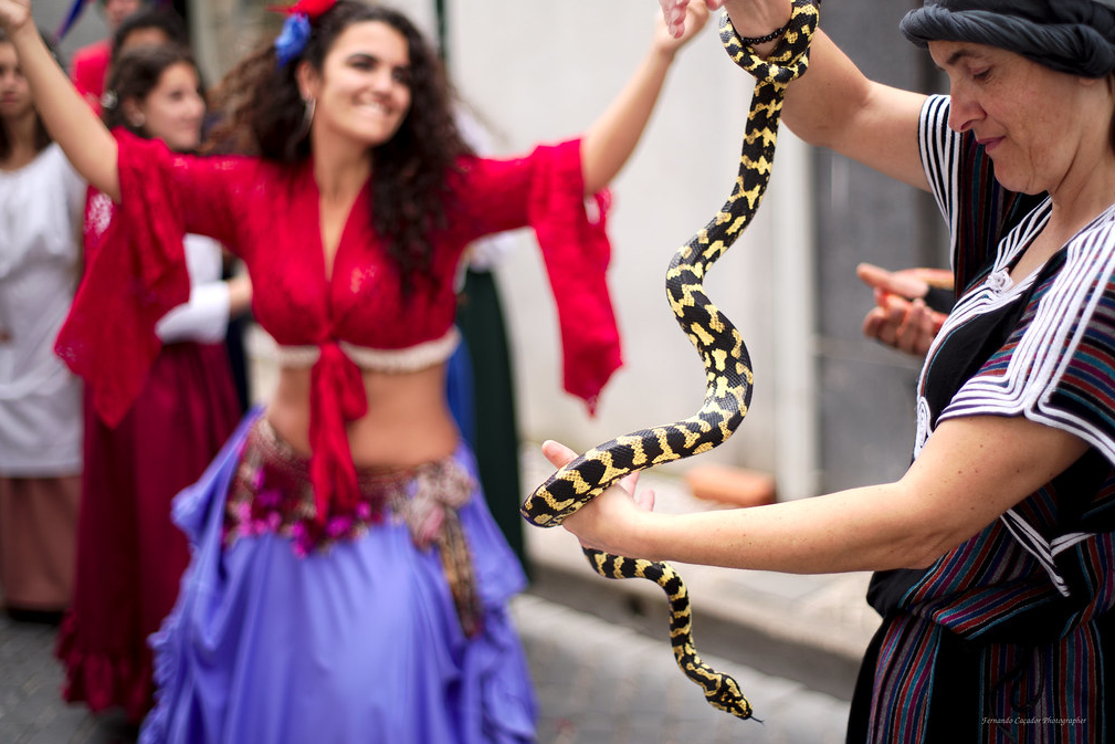 Фото https://www.flickr.com/photos/97891343@N08/