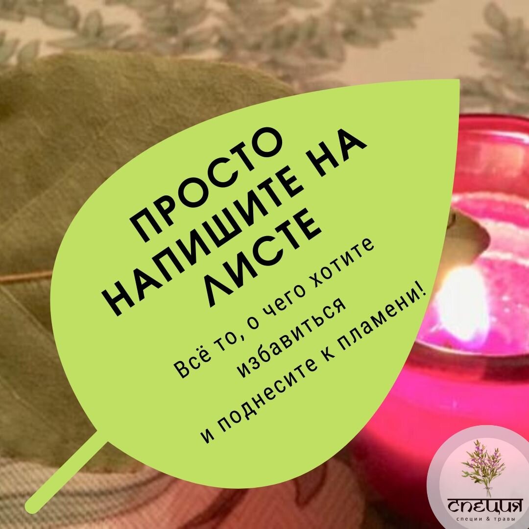 Лавровый лист - сильное магическое растение!
