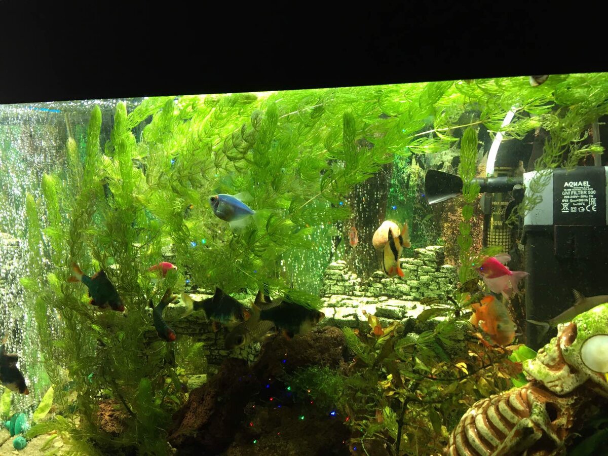 Личное фото.