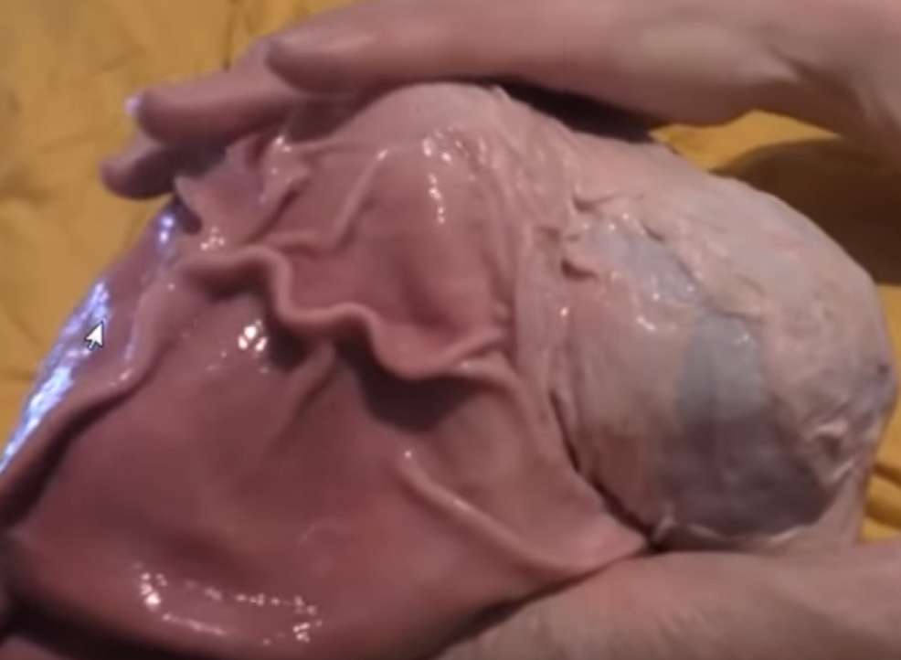 фото из сети Интернет