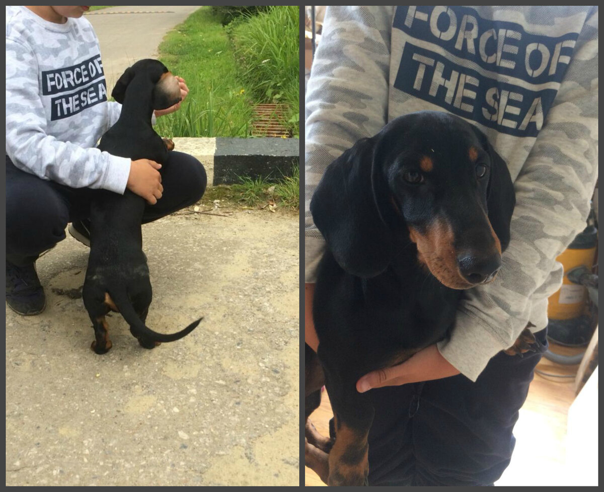 Малыш  на руках у сына