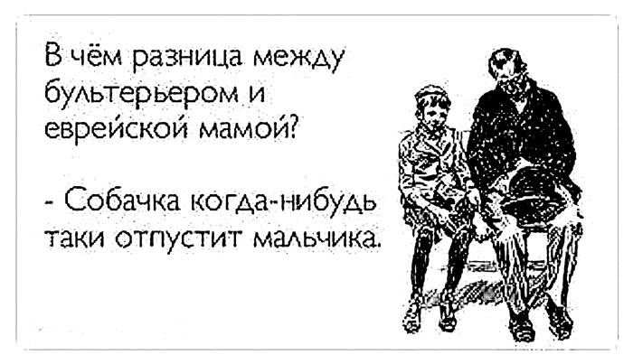 Изображение с сайта https://test.wemontreal.com/