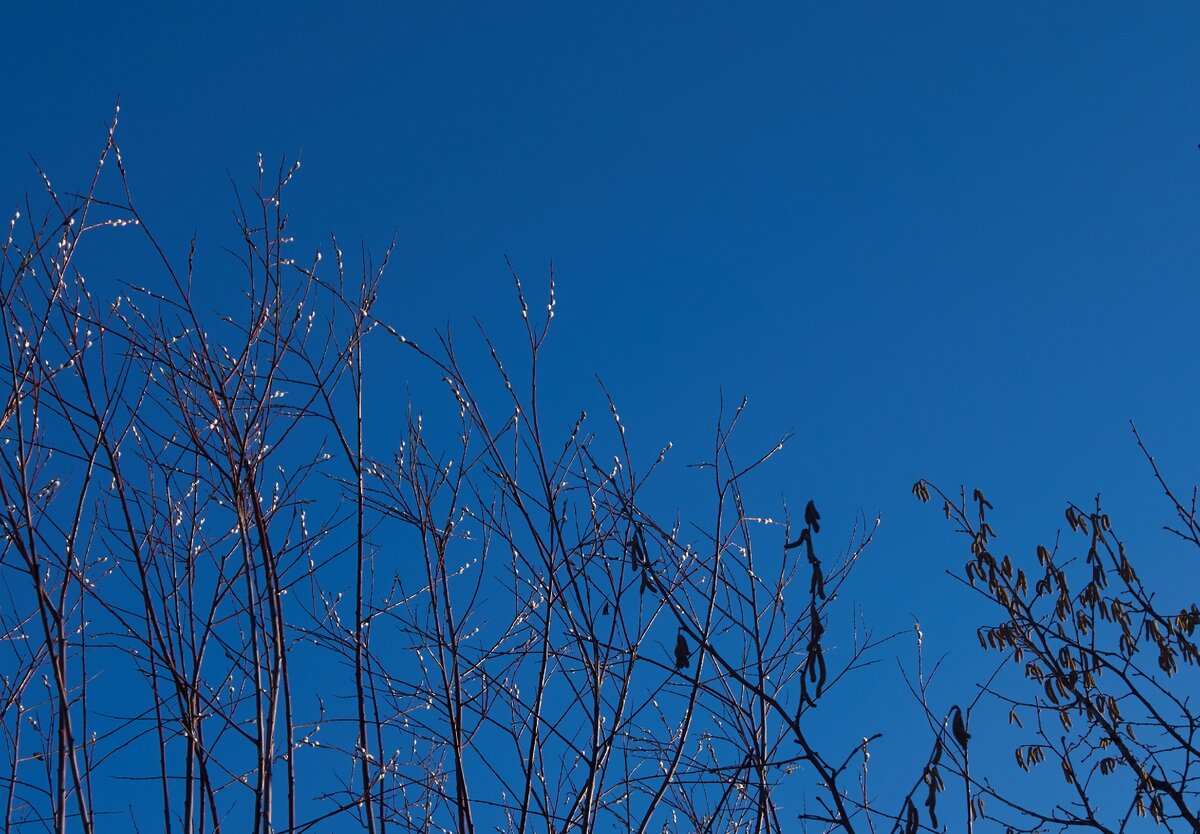 Скоро весна