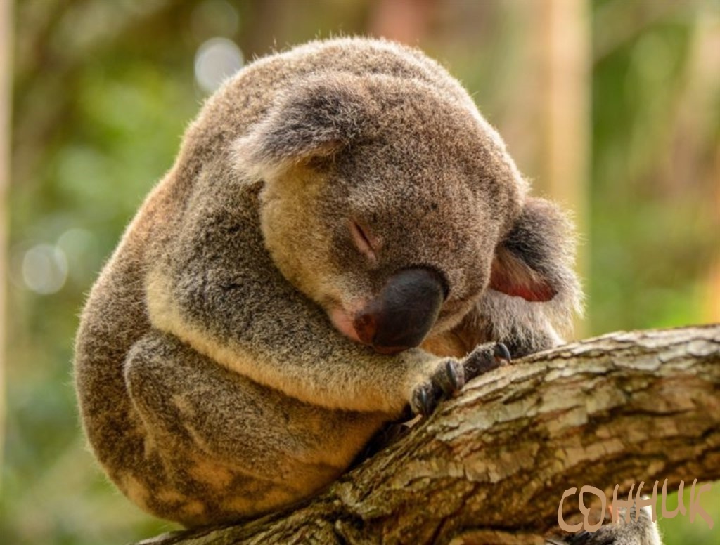 Уже не может терпеть  💤