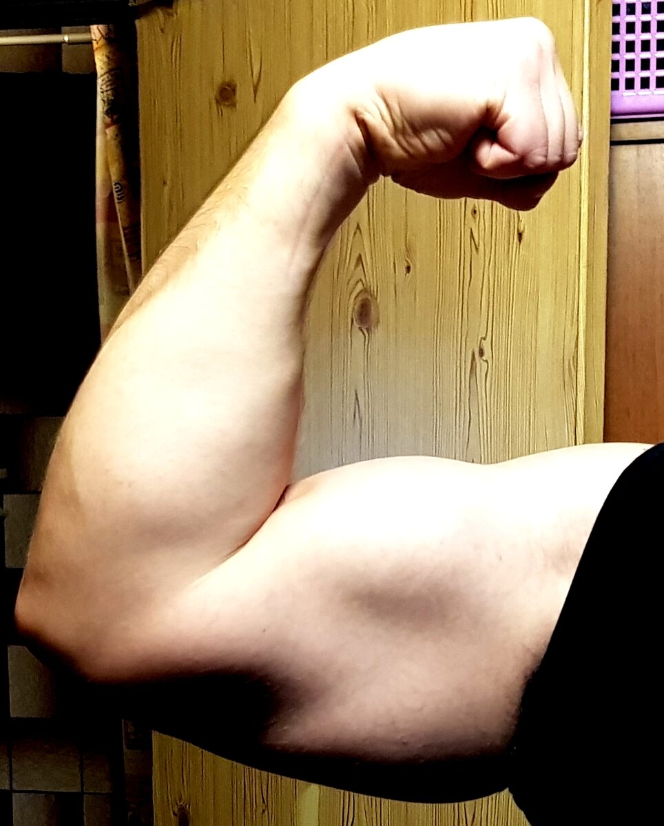 How to Build Huge, Muscular Biceps