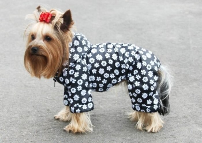 Одежда для собак своими руками Dress for dogs