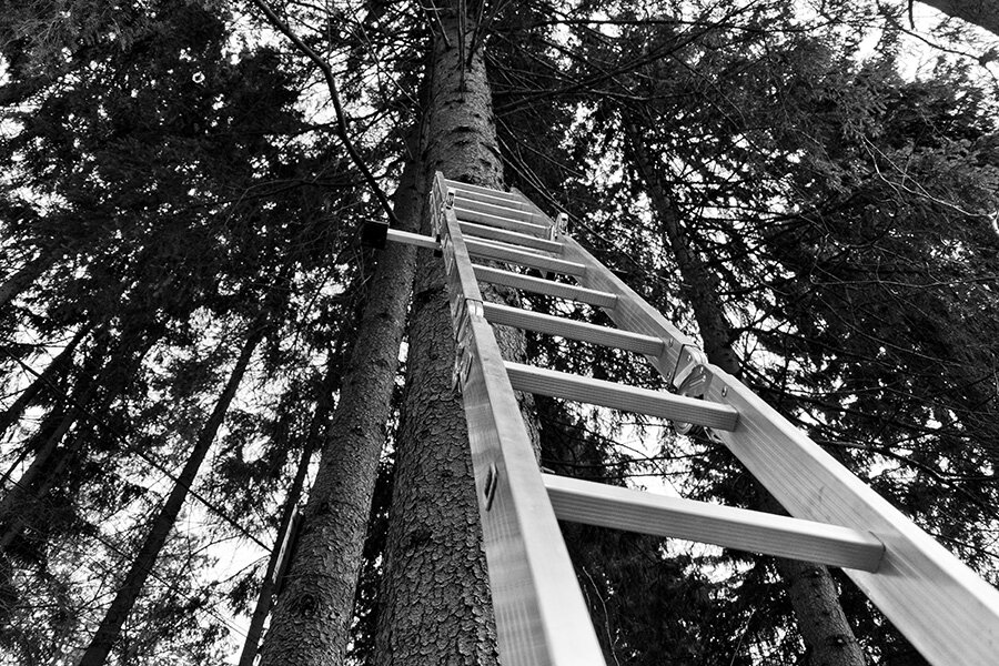 Мне бы в небо... (Источник: фото автора)