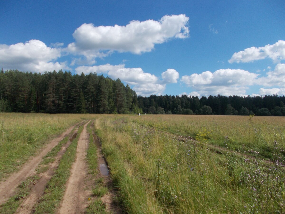 Село бабино