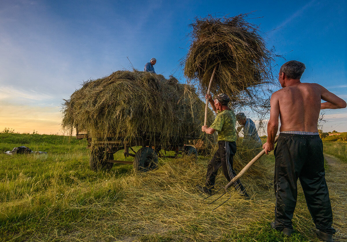 Фото яндекс картинки