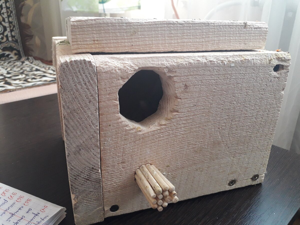 Гнездо для птиц из картона: детская поделка в садик