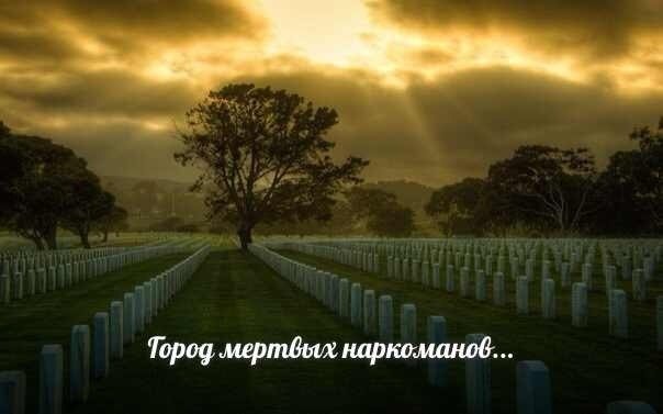 «Герои» эти — мертвы. Их убили наркотики. Опий, героин, дезоморфин, и ещё десятки видов отравы. Кто-то из них прожил после первого укола, затяжки или дорожки несколько длинных, страшных лет. С мучительными ломками, краткосрочными ремиссиями, с пустыми обещаниями отказаться от наркоты. Но большинство сгорели за 2-3 года. От передозировки, от заражения крови, от ВИЧа и гепатита. Помню тех, кто покончил с собой. Или был убит. Практически все из них имели проблемы с законом. Но есть и те, кого тюрьма и зона спасла. Но их единицы.