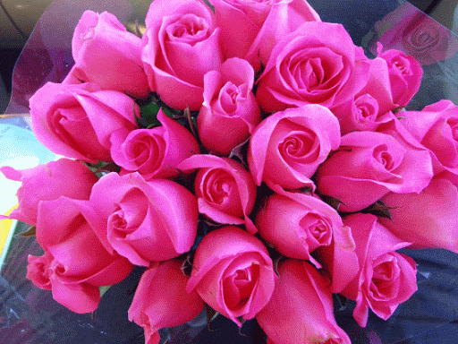 Чайные розы