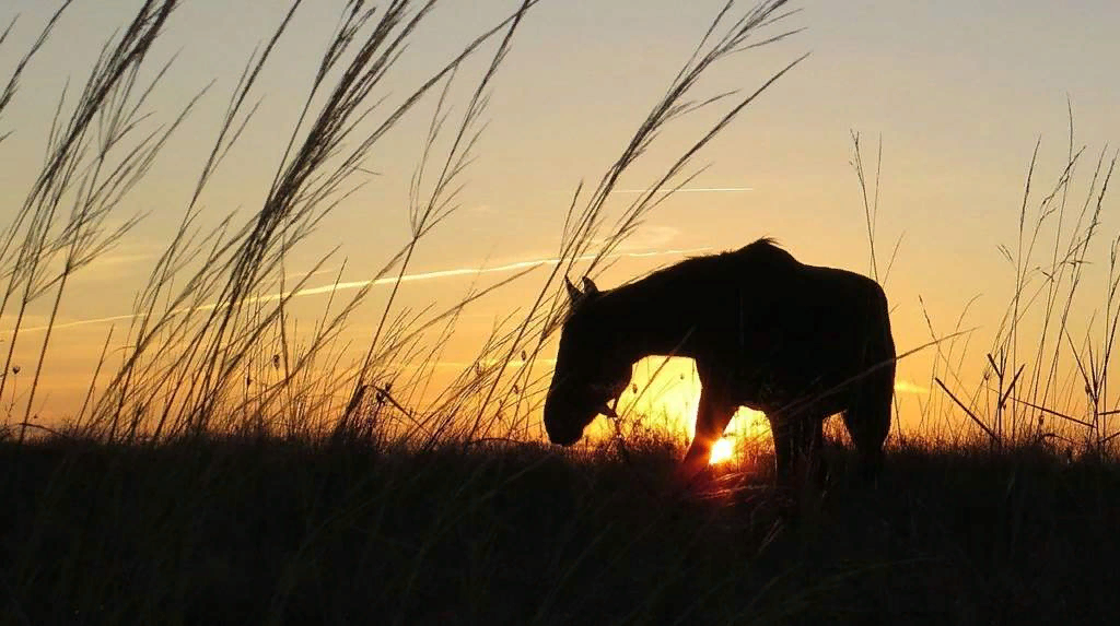 Фото из открытого доступа в Интернете