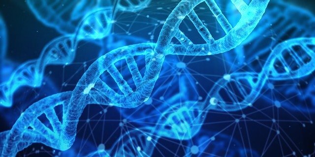 Чтобы было понятней, вспомните документалки о ДНК, которые вы видели по телевизору или YouTube. Так вот, структура ДНК очень похожа на структуру блокчейна. 