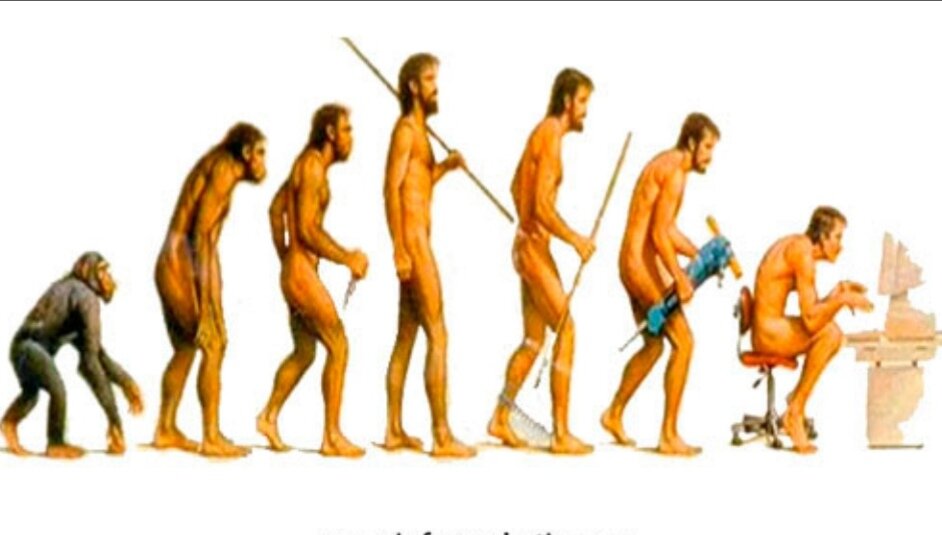 🙈🙉🙊🙊🙉🙈