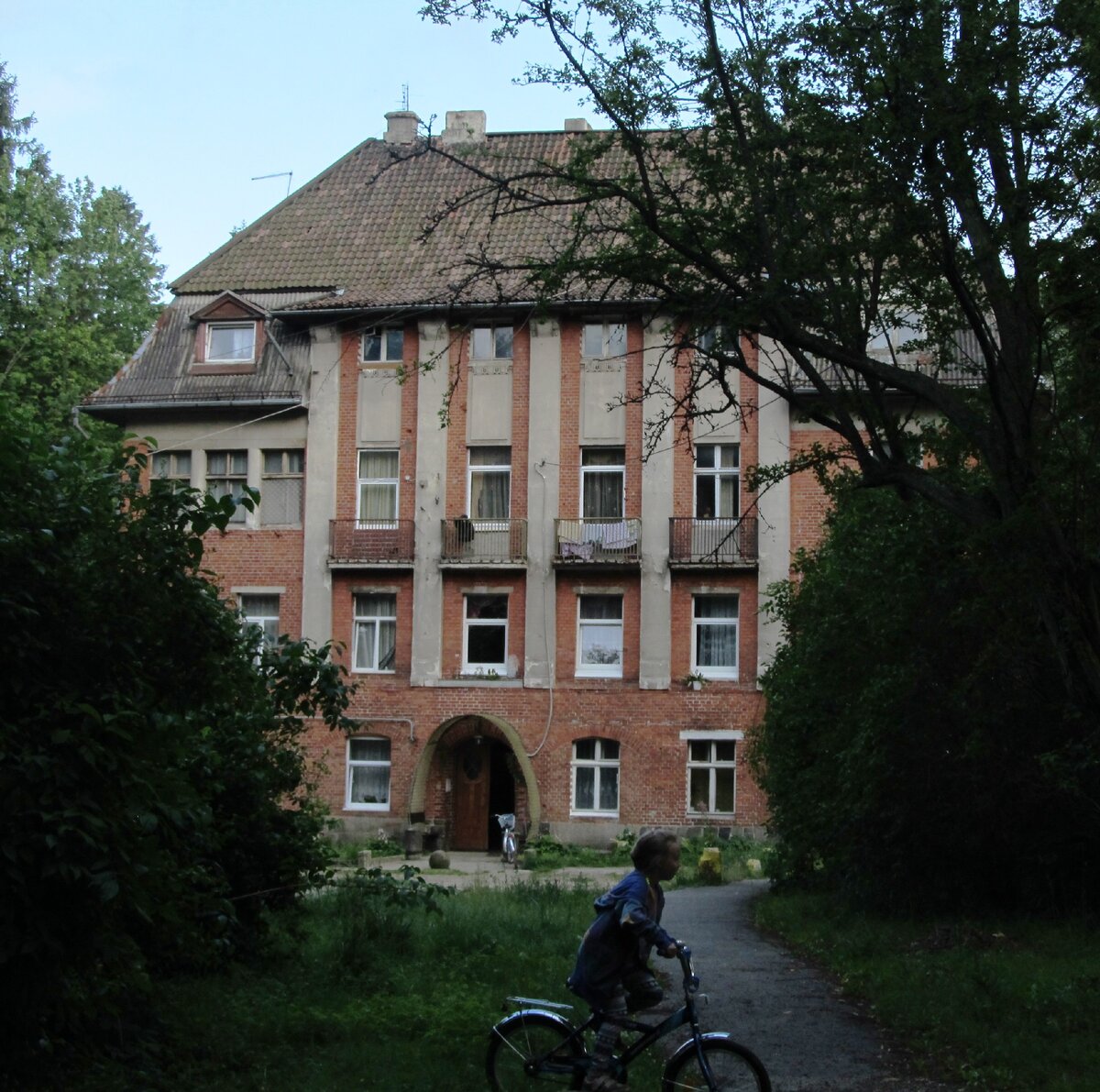 Фото 2016 года