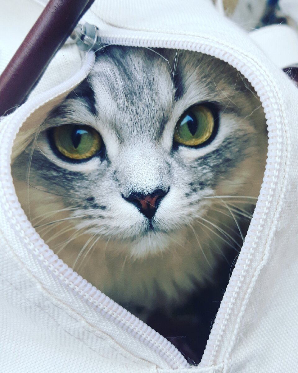 Сердечник наш :(