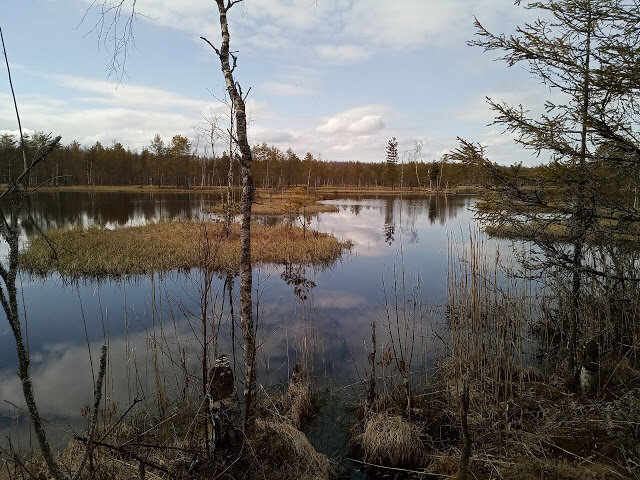Майский день иваново дуниловское шоссе фото. Майский день иваново дуниловское шоссе фото. Дуниловские озера ярославль. Поселок дуниловский. Дуниловское озеро.