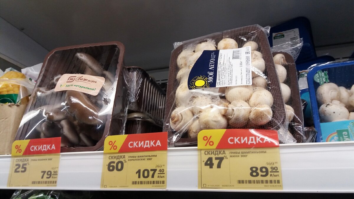 Грибы в Магните