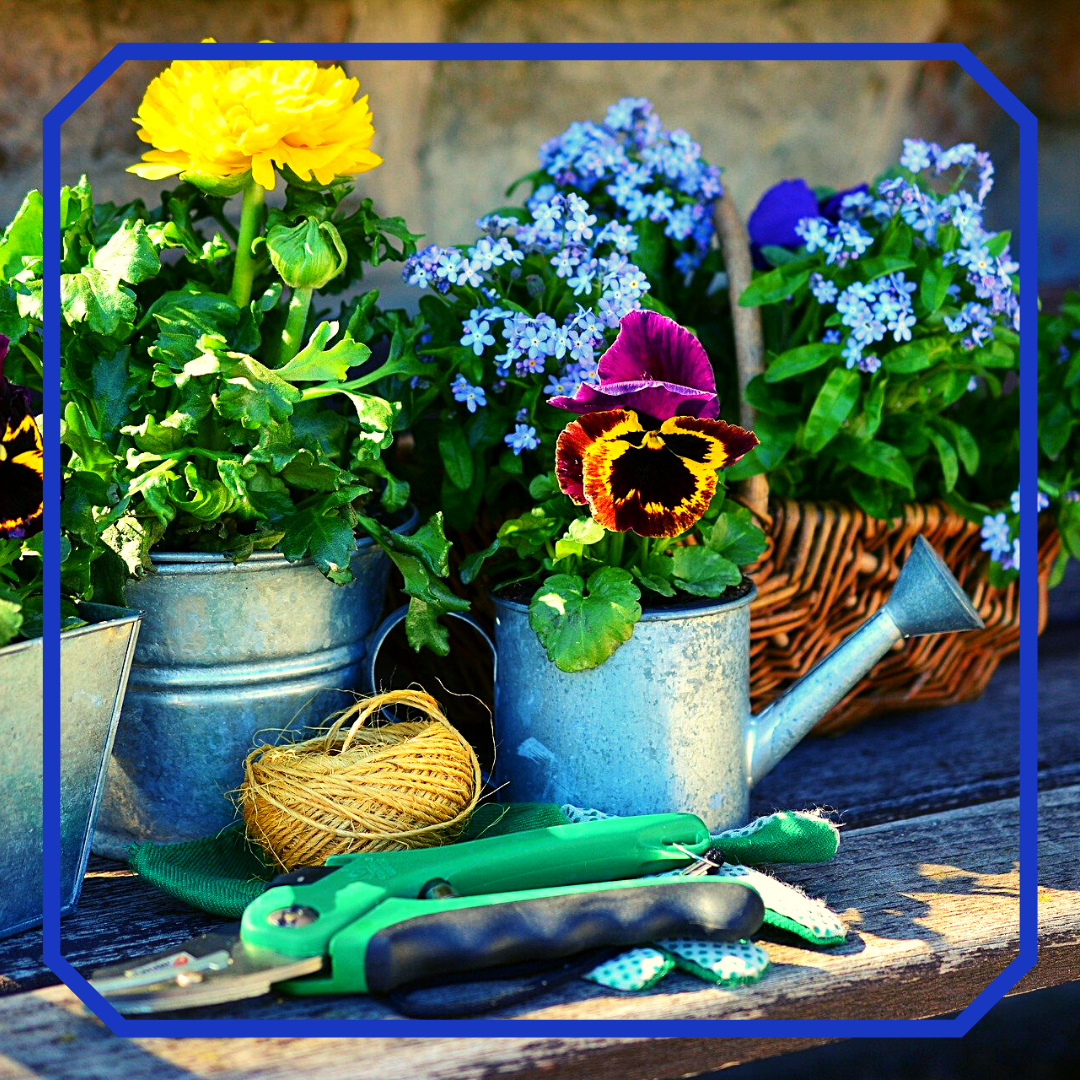 Фото с сайта pixabay.com