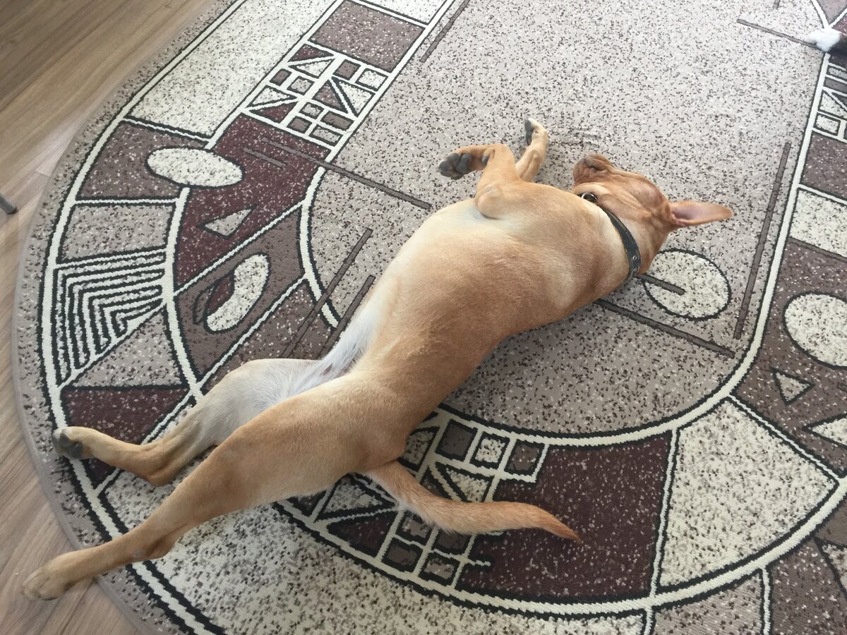 Фото с личного архива.