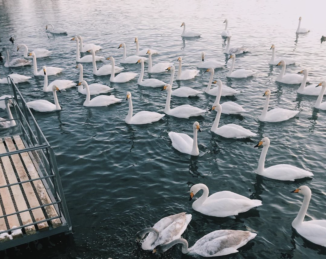 Фото: @victoriabagel, instagram.com* 