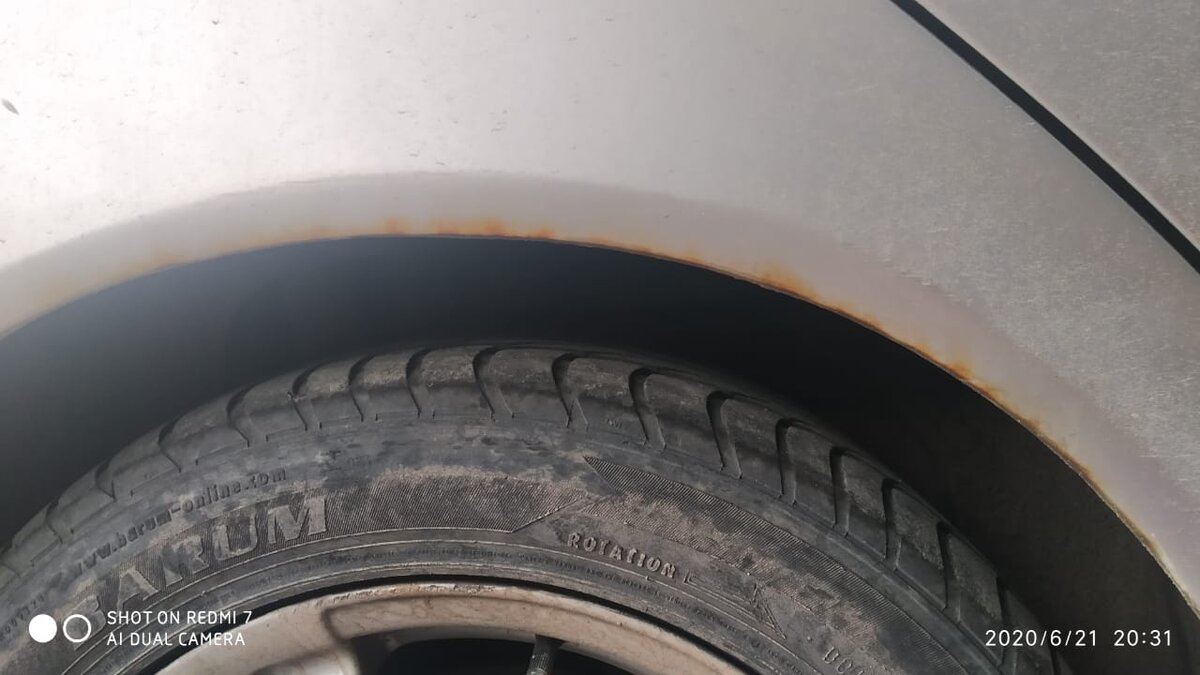 Рыжики под крылом