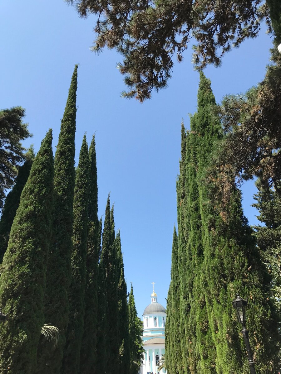 улица в Сочи