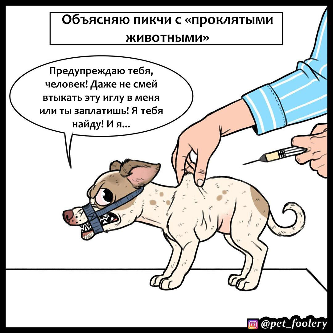 Где хозяин собаки на картинке