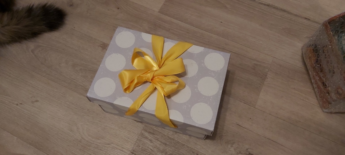 Вот эти ленточки. Они сначала бантиком, потом две петельки по бокам, когда развяжешь