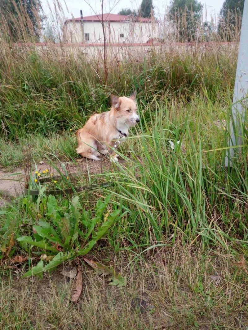 Фото Аллы Прасоловой