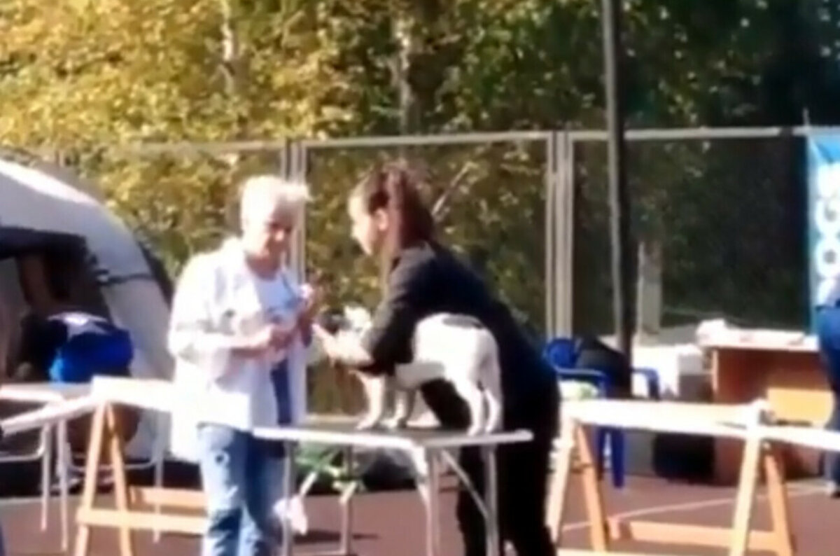 Кадр из видео