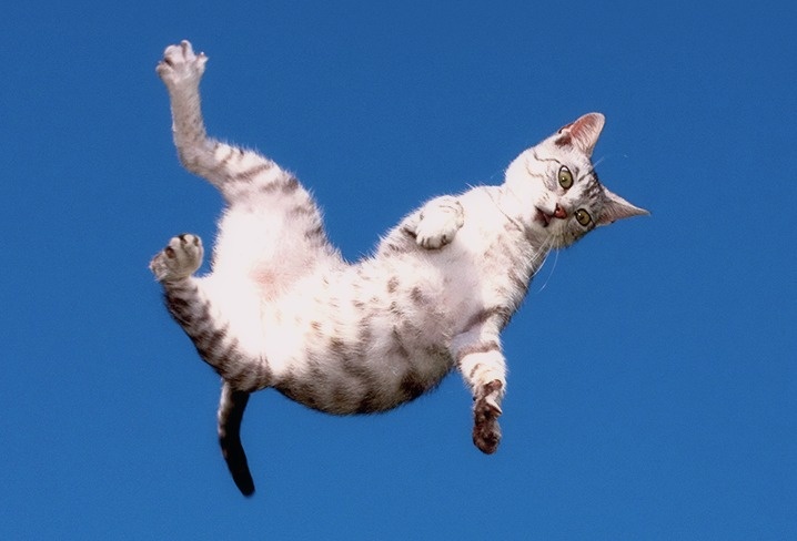 Полет нормальный