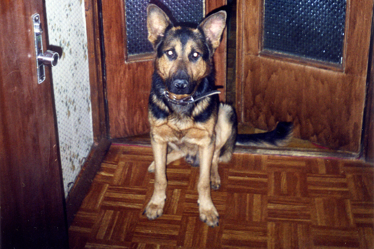 А это Ральф. Он съел фляжку. Красивейшую кожаную фляжку. В тот же жень, в который мне ее подарили! До сих пор жалко... Но Ральфа я все равно обожала. И после съеденной фляжки - тоже.