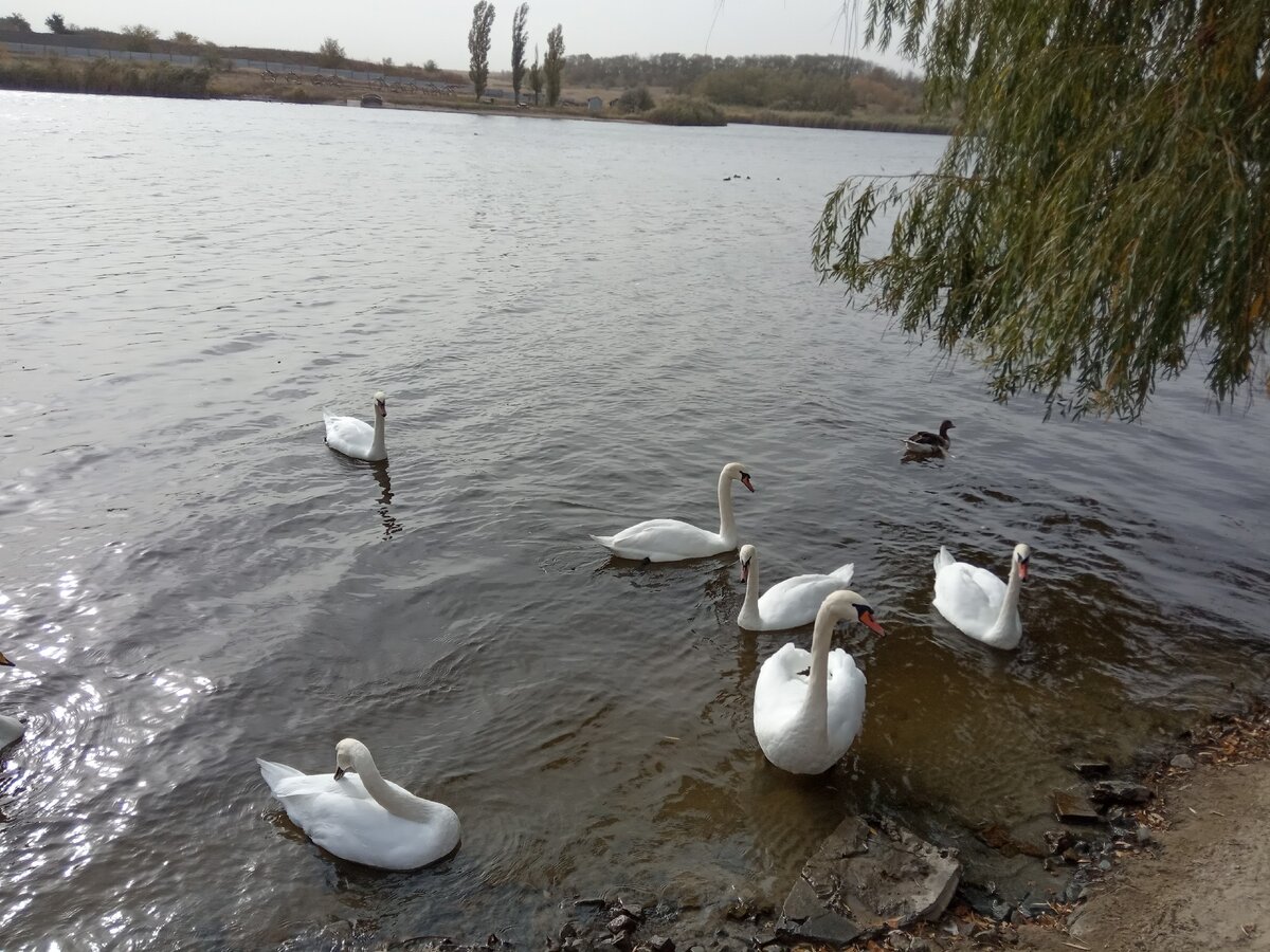 Фото из личного архива автора. 