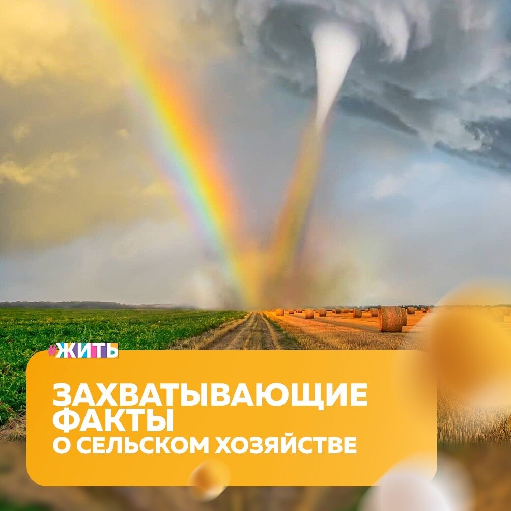 Уже через 35 лет население Земли может превысить 9 миллиардов человек. Для того, чтобы накормить столько людей, фермерам всей планеты придется хорошенько поработать🤔

Сегодня, в День работников сельского хозяйства и перерабатывающей промышленности, мы расскажем Вам о нескольких интересных фактах о сельском хозяйстве, которые заставят Вас задуматься, не обзавестись ли небольшим сельскохозяйственным предприятием:

🔶 Сельское хозяйство началось около Х тыс. до нашей эры

В это время произошла первая сельскохозяйственная революция, когда кочевые племена начали заниматься фермерством;

🔶 Корову как рекламную площадь начали использовать еще в 1984 году

Тогда фермеры впервые в мире стали продавать рекламные места на своих коровах;

🔶 Для идеального роста сельскохозяйственных культур подходит всего 11% земельных угодий планеты

Это примерно 13 млрд га. Остальная же почва слишком засушливая, влажная и чересчур истощенная;

🔶 Деревья в городе могут охлаждать воздух на 2-8 градуса

Это сохраняет 30% средств, потраченных на кондиционирование воздуха;

🔶 Зернобобовые — это пища, которая избавит мир от голода

Высокая калорийность, большое количество белка и клетчатки;

🔶 К 2050 году нужно будет на 70% больше еды

ООН прогнозирует, что к 2050 году население Земли увеличится на 2,5 миллиарда человек;

🔶 Пшеница — самая важная еда для 2,5 млрд человек в 89 странах мира

России повезло: мы выращиваем в 2 раза больше зерна, чем съедаем;

🔶 Бананы — самый урожайный фрукт в мире

Они являются 4-м по величине урожаем в мире после пшеницы, риса и кукурузы;

🔶 В мире выращивают более 6000 различных видов яблок

Самый большой производитель — Китай, за которым следуют Соединенные Штаты, Иран, Турция, Россия, Италия и Индия;

🔶 Маленькие фермерские хозяйства производят свыше 70% еды, которая нужна, чтобы накормить весь мир

🔶 За 66 лет эффективность сельского хозяйства в мире увеличилась в 2,5 раза

Фермеры в настоящее время производят на 262% больше пищи, чем они это делали в 1950-м;

🔶 1 из 5 человек в мире работает в какой-то отрасли животноводства

Вообщем в животноводстве задействовано 1,3 миллиарда человек;

🔶 Треть пищи появляется благодаря пчелам

Без них человеку было бы крайне сложно и дорого даже выпить чашку кофе, ведь без опыления его производство было бы крайне сложным и дорогим процессом.

А какое у Вас самое любимое блюдо, которое Вы готовы употреблять хоть каждый день?

#жить #проектжить #ДеньРаботниковСельскогоХозяйстваиПерерабатывающейПромышленности