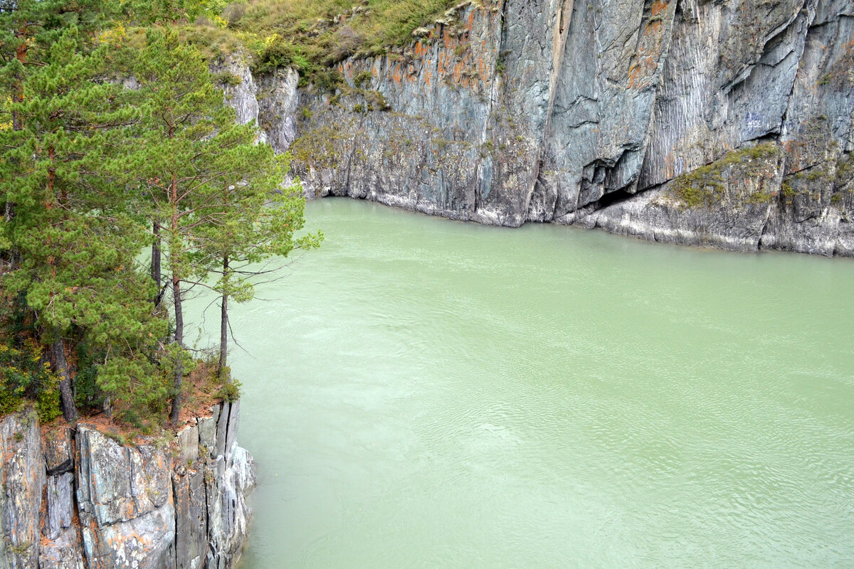 Красавица Катунь