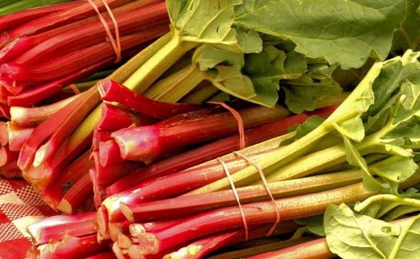 Всегда ешьте только очищенные стебли ревеня и собирайте их не позднее определенного периода.