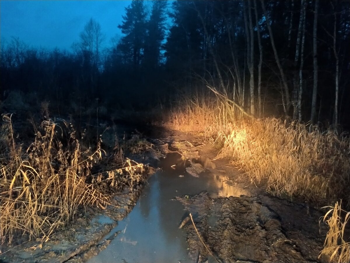 Здесь ездят квадроциклы