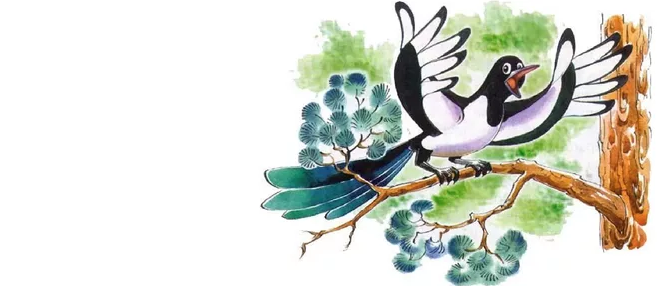 Фото из свободного доступа