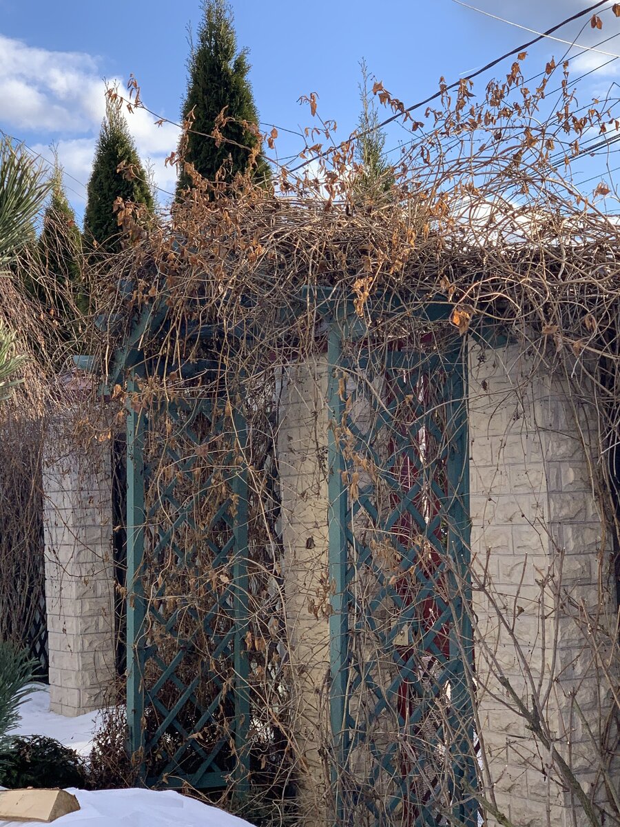 Входная арка. 6 фото, листайте