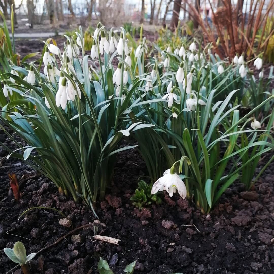 Из личного архива. 