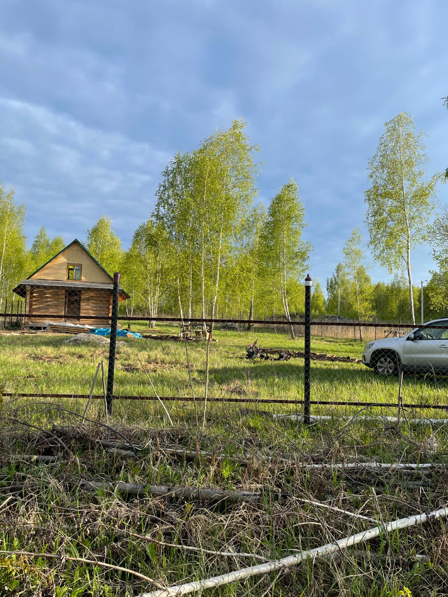 Это нереально окультурить