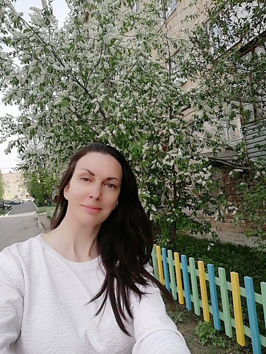 Зацвела черемуха. Ждём смены погоды