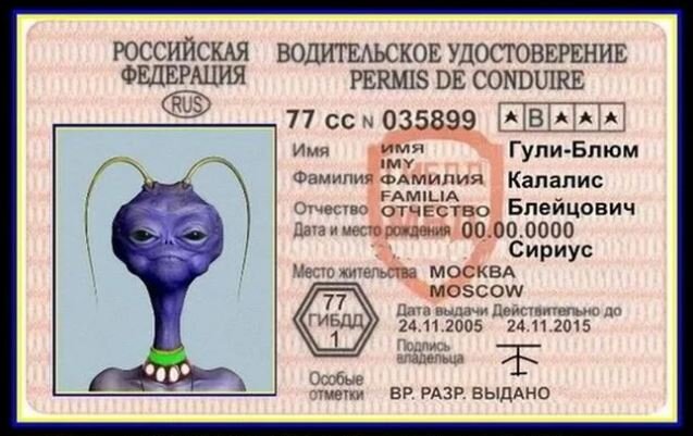 Раскрою тайну. Вот так  могло бы выглядеть водительское удостоверение инопланетянина, встретившегося Васе под покровом ночи, останься он на ПМЖ у нас.