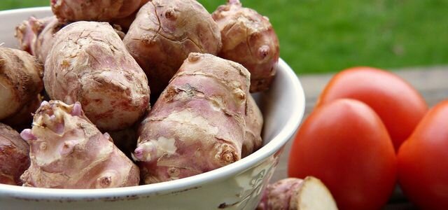 Топинамбур