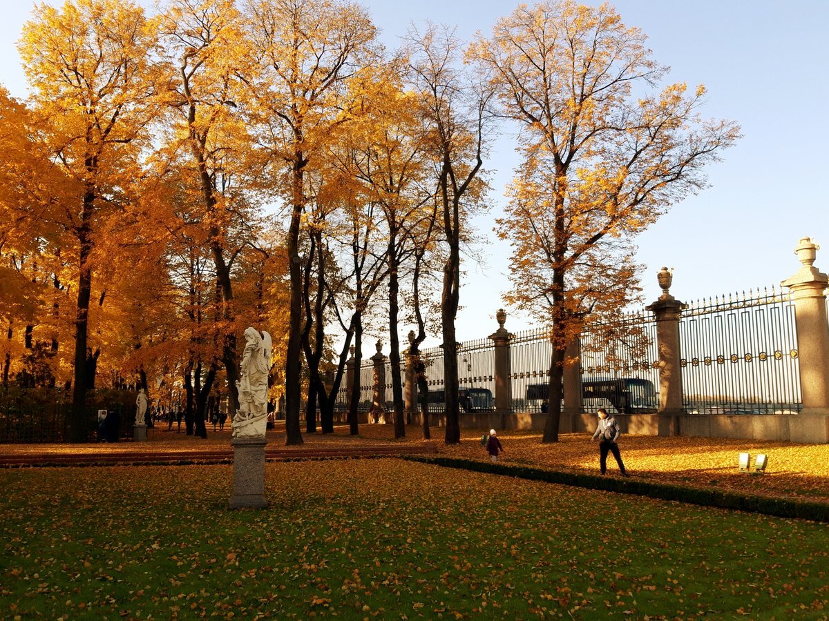 Изображение взято с www.pitert.ru