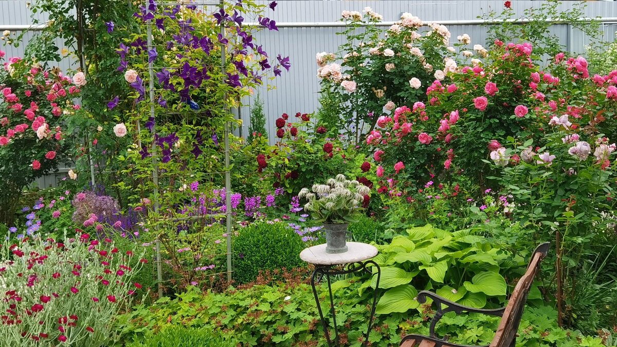 3 фото, листайте